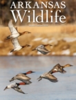 Arkansas Wildlife January 01, 2026 Issue Cover