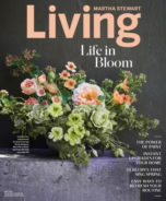 Martha-Stewart-Living May 01, 2019 Issue Cover