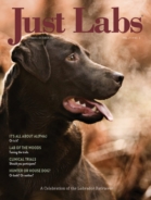Just-Labs September 01, 2021 Issue Cover