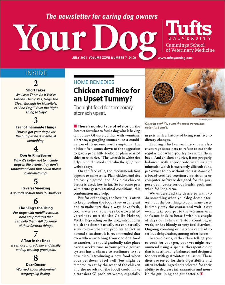 Your-Dog July 01, 2021 Issue Cover