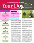 Your-Dog July 01, 2021 Issue Cover