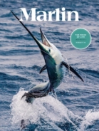 Marlin March 01, 2021 Issue Cover
