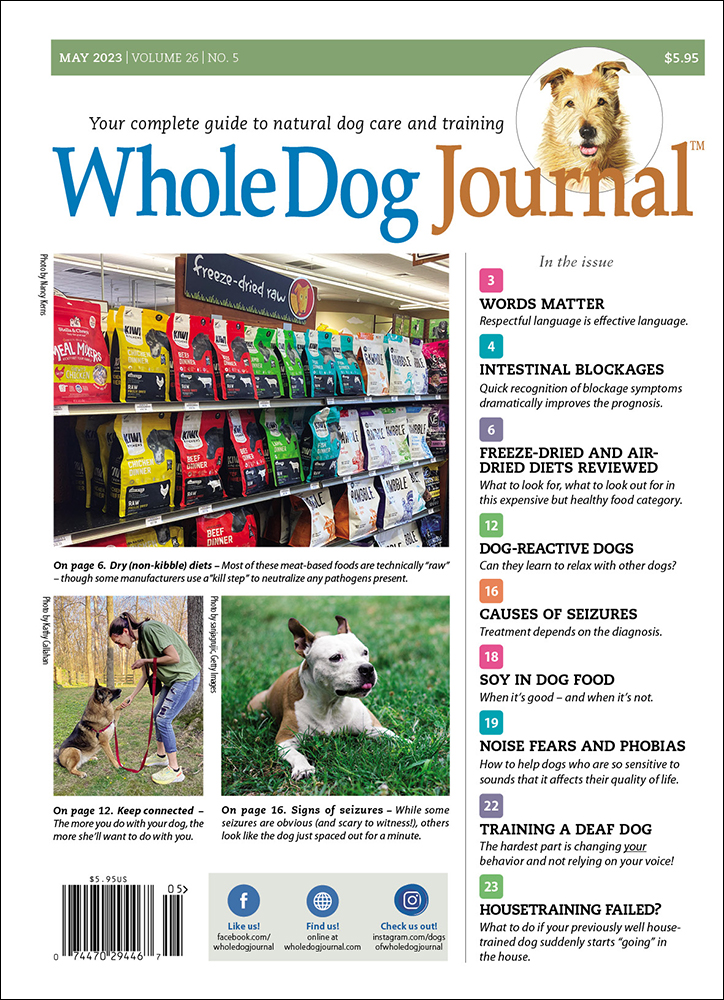 Mat Training Tips - Whole Dog Journal