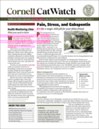 Catwatch September 01, 2022 Issue Cover