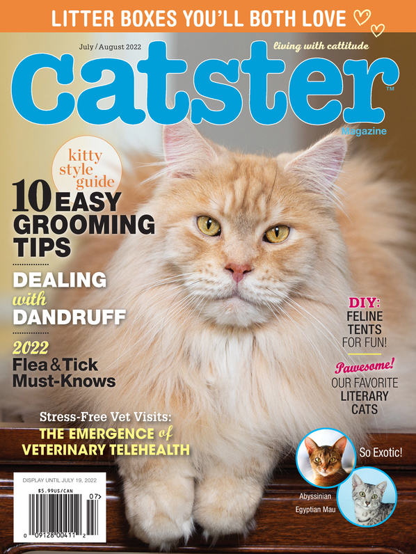 Catster July 01, 2022 Issue Cover