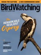 Bird-Watching June 01, 2021 Issue Cover