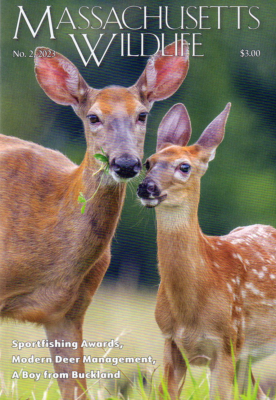 Massachusetts-Wildlife June 01, 2023 Issue Cover