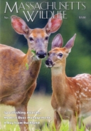 Massachusetts-Wildlife June 01, 2023 Issue Cover