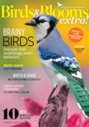 Birds-and-Blooms-Extra November 01, 2018 Issue Cover