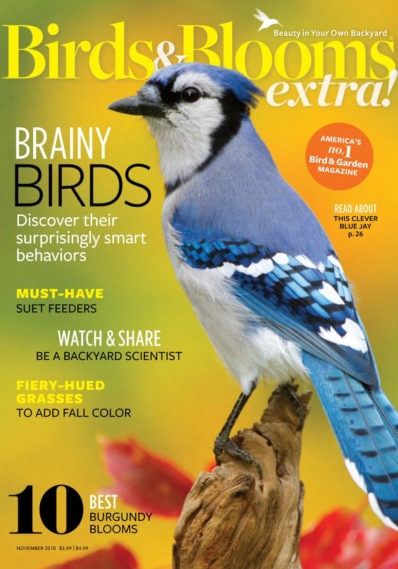 Birds & Blooms Extra November 01, 2018 Issue Cover