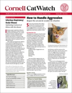 Catwatch February 01, 2025 Issue Cover