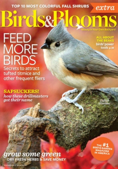 Birds & Blooms Extra November 01, 2016 Issue Cover