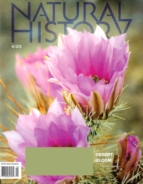 Natural-History April 01, 2023 Issue Cover