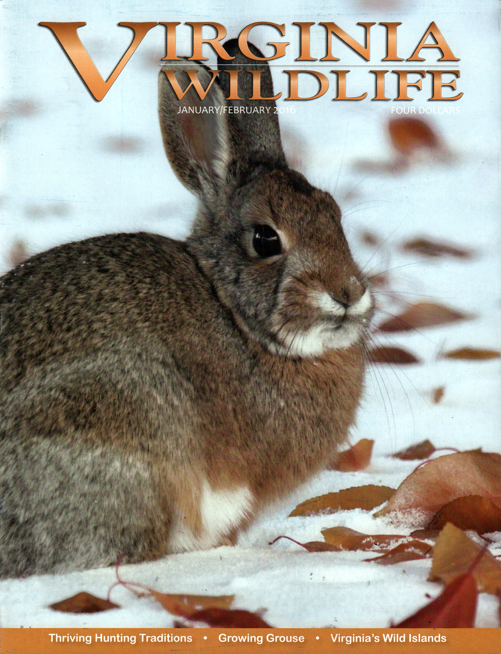 Virginia-Wildlife January 01, 2016 Issue Cover