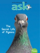 ask January 01, 2020 Issue Cover