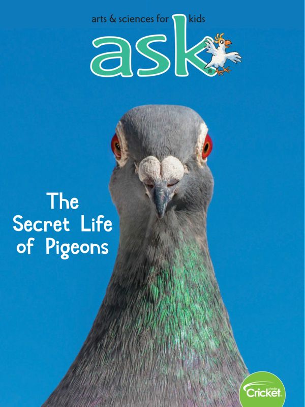 ask January 01, 2020 Issue Cover