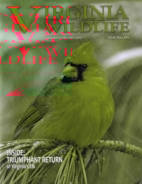 Virginia-Wildlife January 01, 2017 Issue Cover