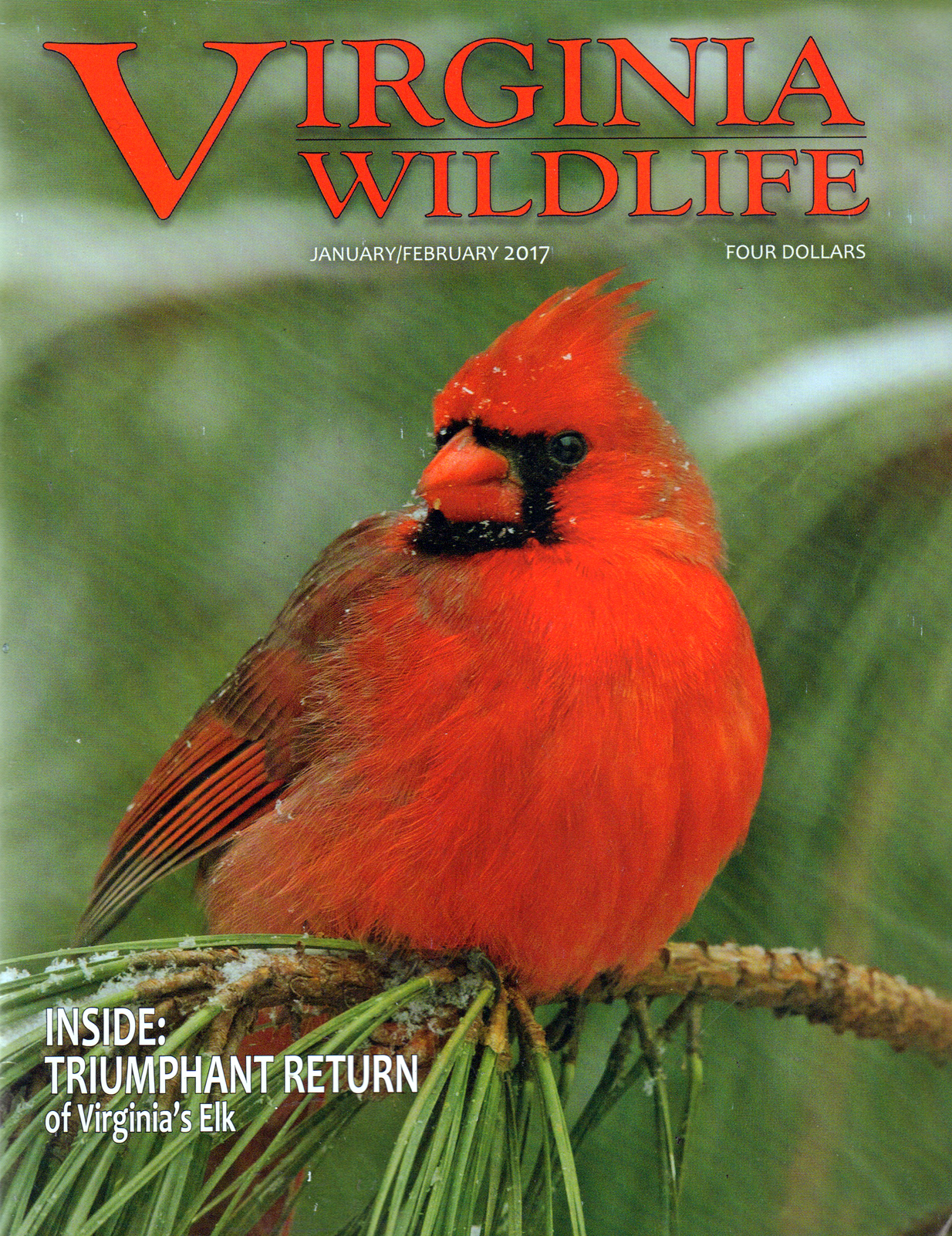 Virginia-Wildlife January 01, 2017 Issue Cover