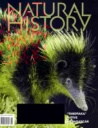 Natural-History July 01, 2022 Issue Cover