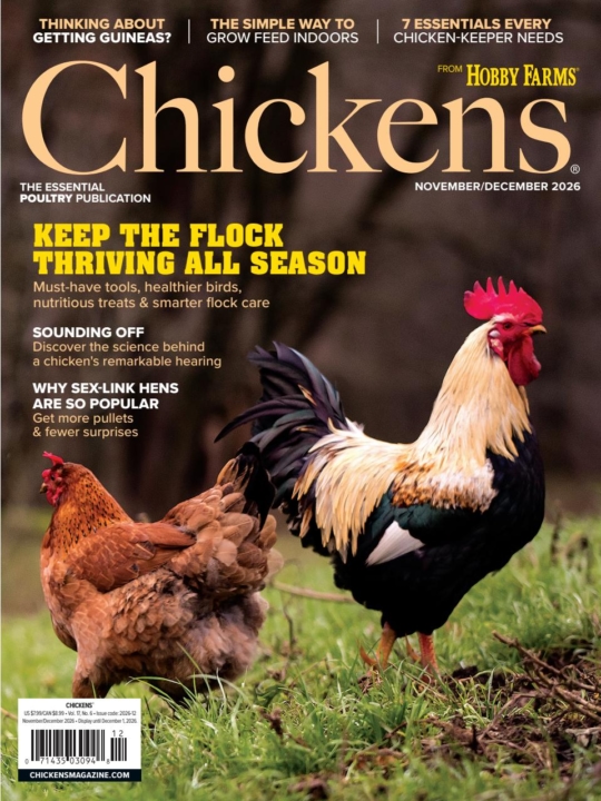Chickens November 01, 2026 Issue Cover