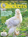 Chickens July 01, 2025 Issue Cover