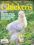 Chickens July 01, 2025 Issue Cover