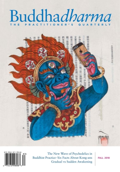 BUDDHADHARMA: THE PRACTIONER'S QUARTERLY September 01, 2018 Issue Cover
