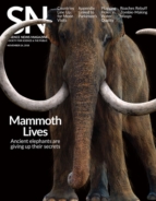 science-news November 24, 2018 Issue Cover