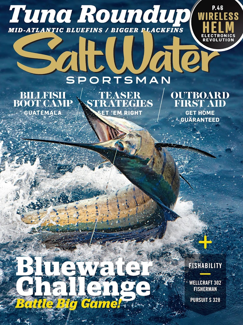Salt-Water-Sportsman November 01, 2017 Issue Cover