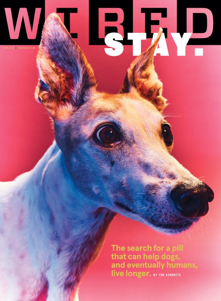 Wired November 01, 2022 Issue Cover