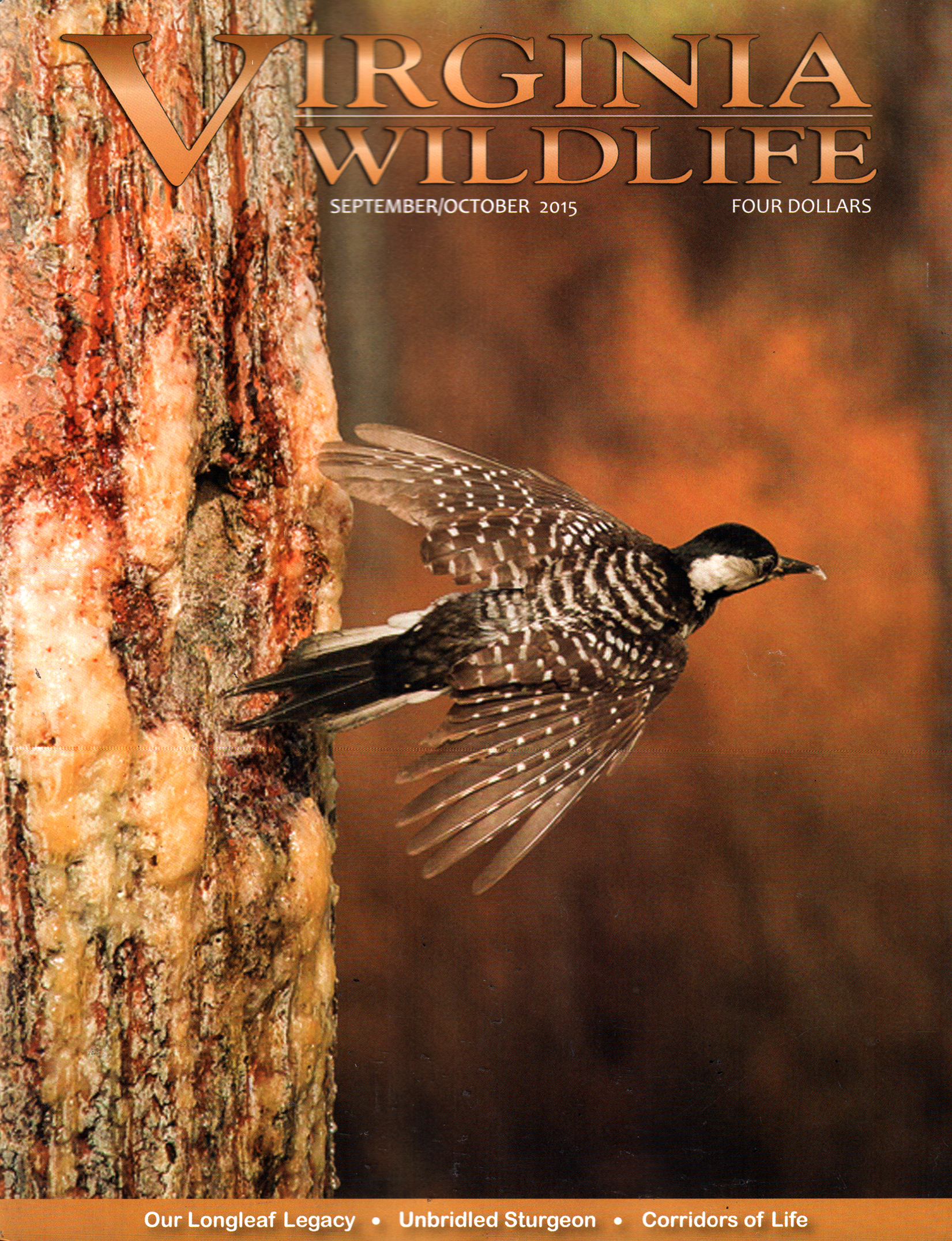 Virginia-Wildlife September 01, 2015 Issue Cover
