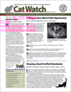 Catwatch May 01, 2019 Issue Cover
