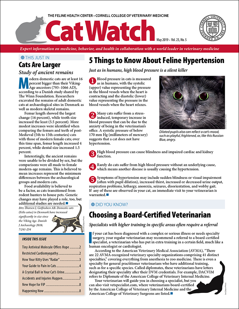 Catwatch May 01, 2019 Issue Cover