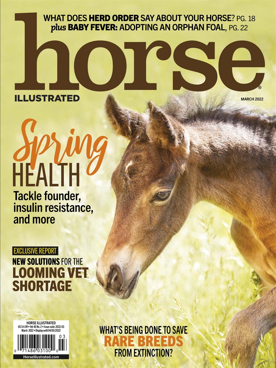 Horse-Illustrated March 01, 2022 Issue Cover