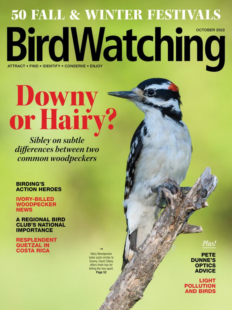 Bird-Watching October 01, 2022 Issue Cover