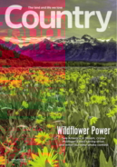Country April 01, 2020 Issue Cover
