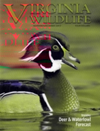 Virginia-Wildlife November 01, 2017 Issue Cover