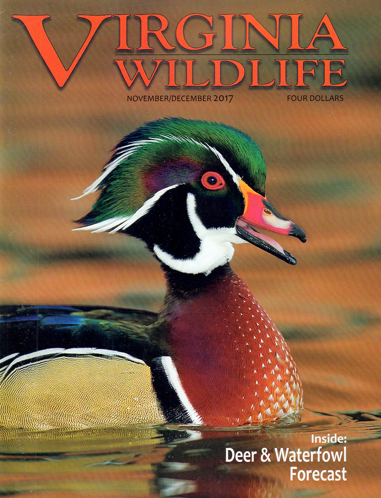 Virginia-Wildlife November 01, 2017 Issue Cover