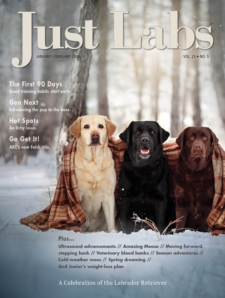 Just-Labs January 01, 2024 Issue Cover
