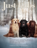 Just Labs January 01, 2024 Issue Cover