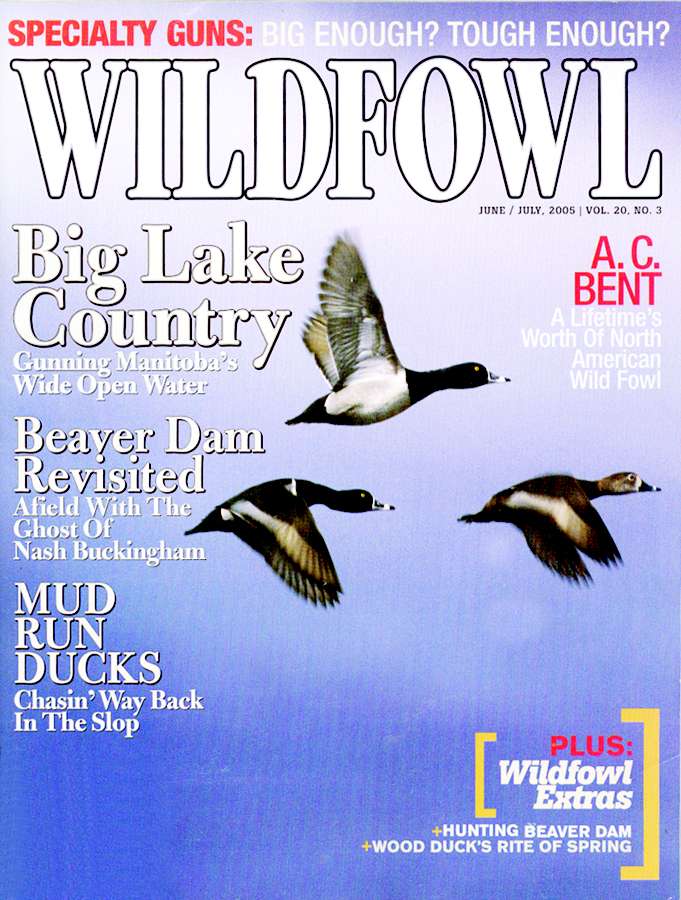 Wildfowl July 01, 2005 Issue Cover