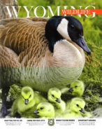 Wyoming-Wildlife May 01, 2019 Issue Cover