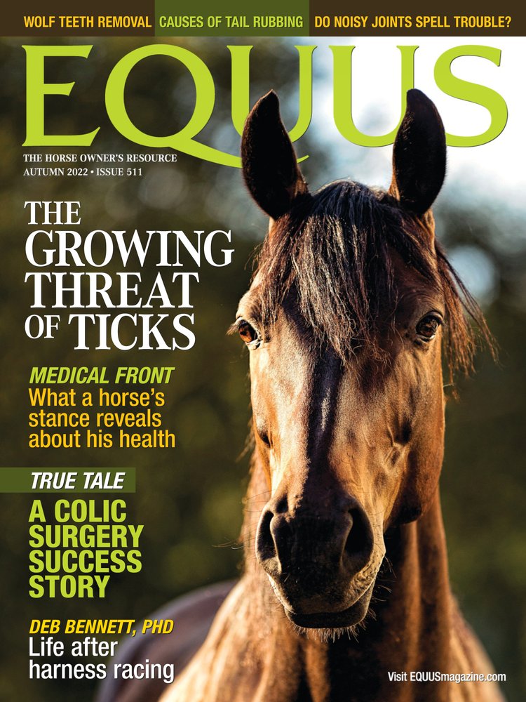 Equus September 01, 2022 Issue Cover