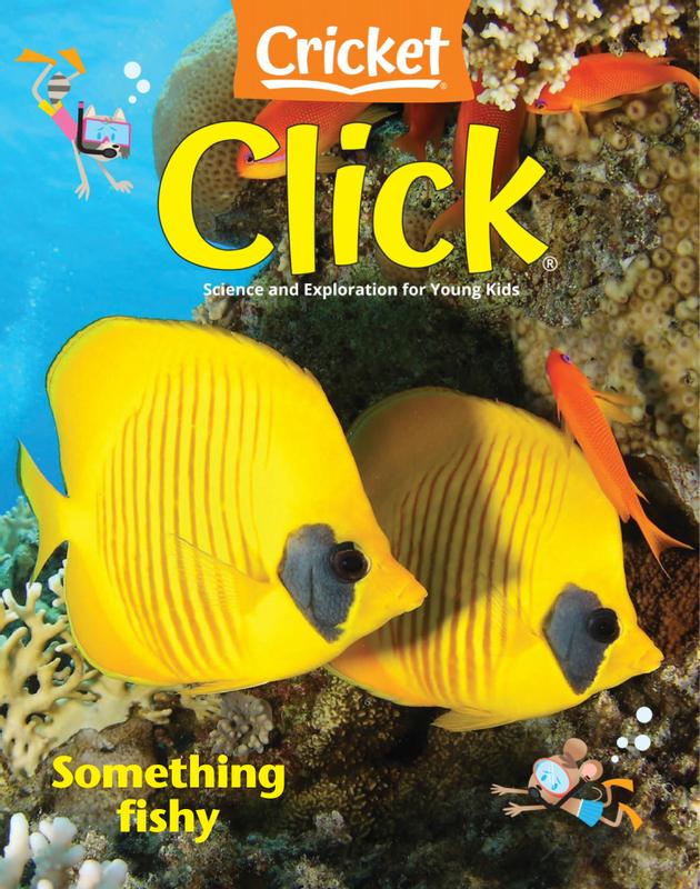 Click November 01, 2020 Issue Cover