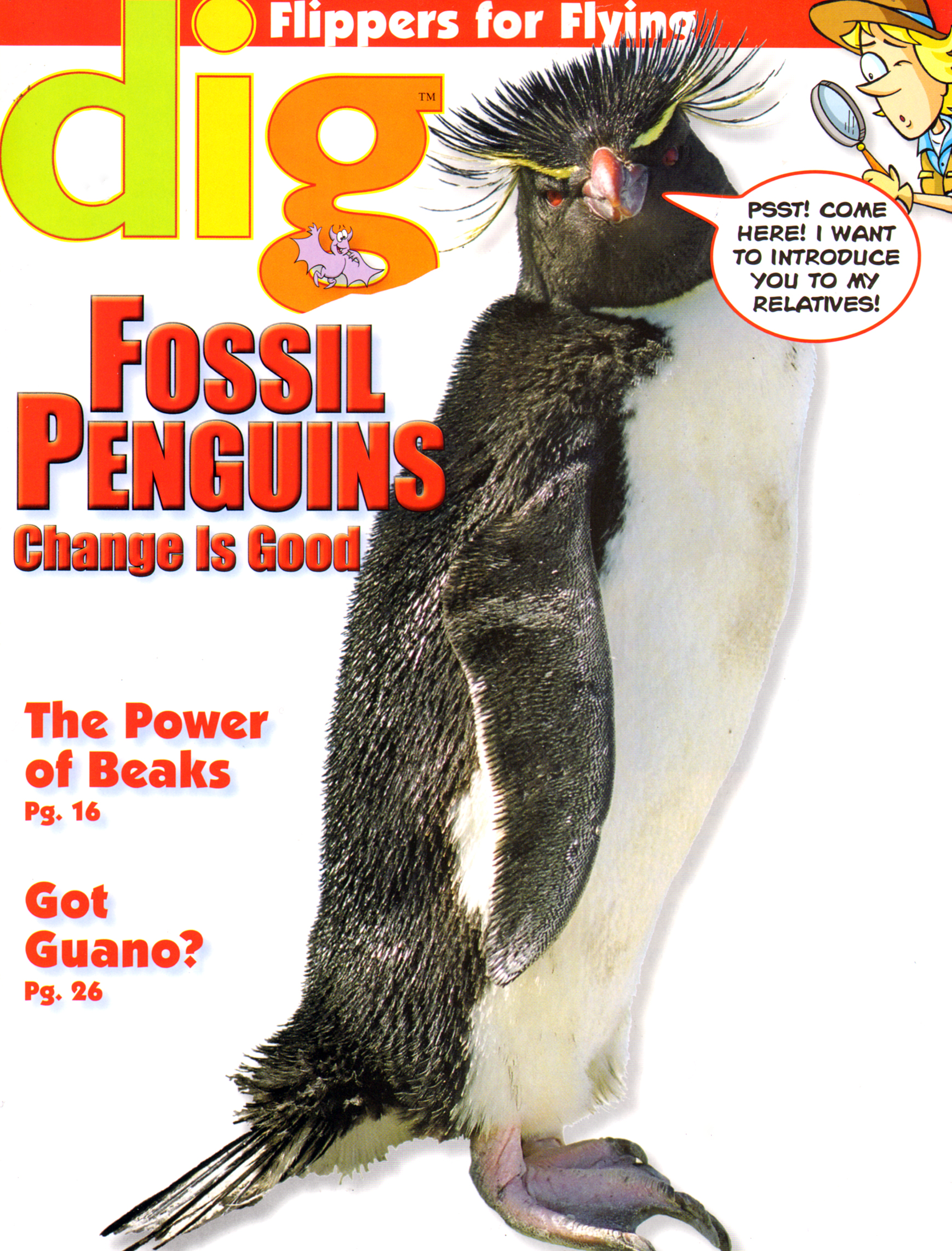Dig-Magazine November 01, 2013 Issue Cover
