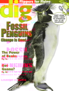Dig-Magazine November 01, 2013 Issue Cover