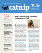 Catnip April 01, 2022 Issue Cover