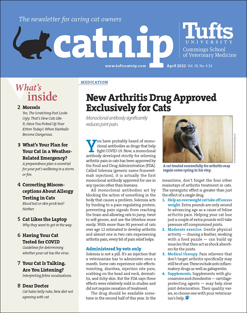 Catnip April 01, 2022 Issue Cover