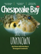 Chesapeake-Bay September 01, 2021 Issue Cover