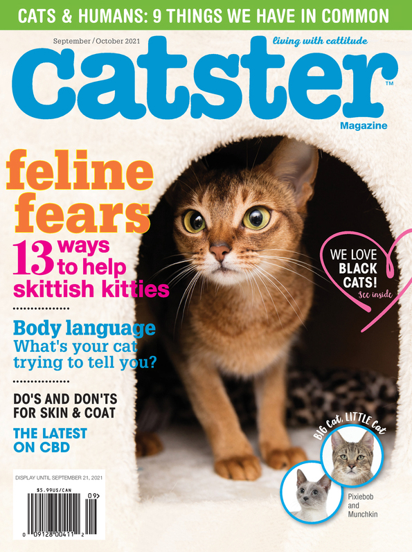 Catster September 01, 2021 Issue Cover